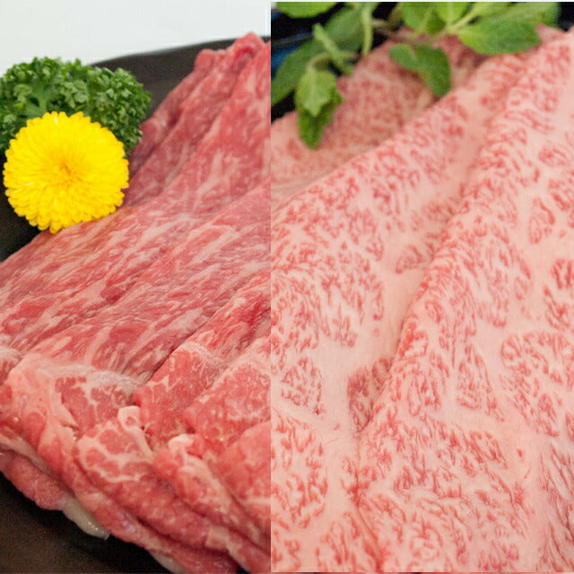 飛騨牛A５等級ロース500g+モモ500g