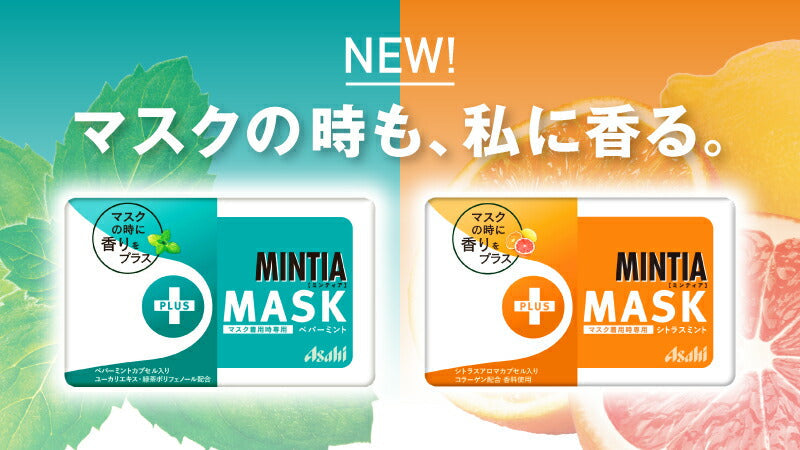 【3人シェア買いでお得】【送料無料】ミンティア2種×各5（ +MASK　シトラスミント・ペパーミント ）計10個　Dセット