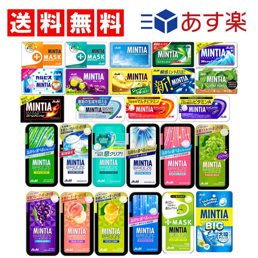 【送料無料】ミンティア 26種セット ( エクスケア　ブリーズ　+MASK　フルーツ味　ミント )　Gセット