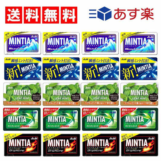 【3人シェア買いでお得】【送料無料】ミンティア ミント味 5種×各4（ コールドスマッシュ　ワイルド＆クール　ドライハード　リーフミント　カテキンミント）計20個　Hセット
