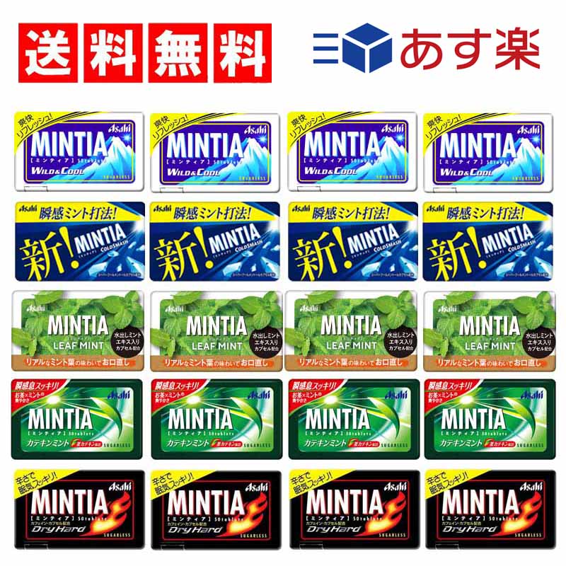 【送料無料】ミンティア ミント味 5種×各4（ コールドスマッシュ　ワイルド＆クール　ドライハード　リーフミント　カテキンミント）計20個　Hセット