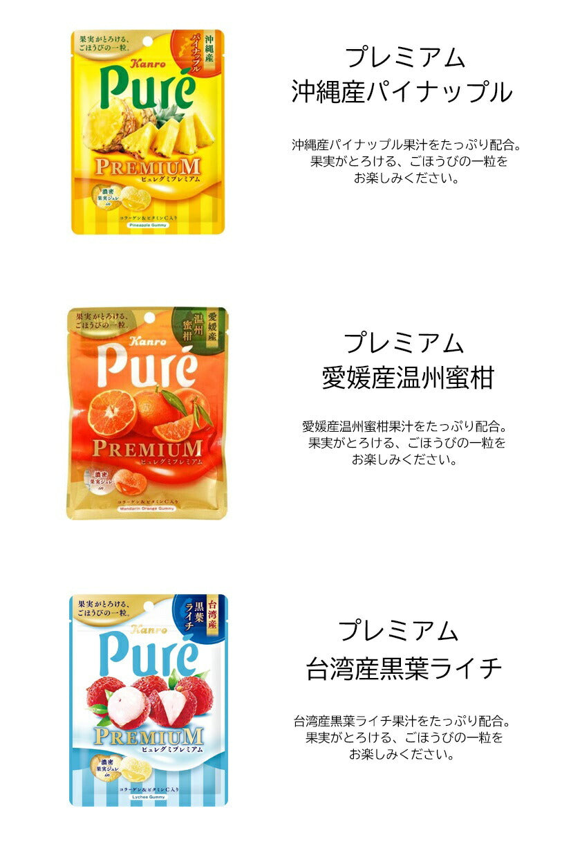【3人シェア買いでお得】【送料無料】ピュレグミ6種×各1（ グレープ　　レモン　マスカット　パイナップル　みかん　ライチ ）