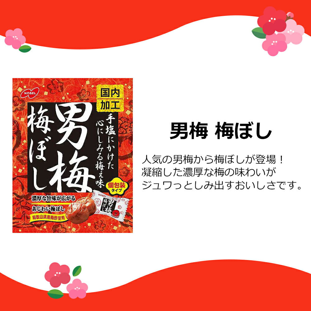 【送料無料】男梅5種+梅ねり1種（ほし梅　梅干し　男梅シート　はちみつほし梅　茎わかめ　梅ねり）計6個セット