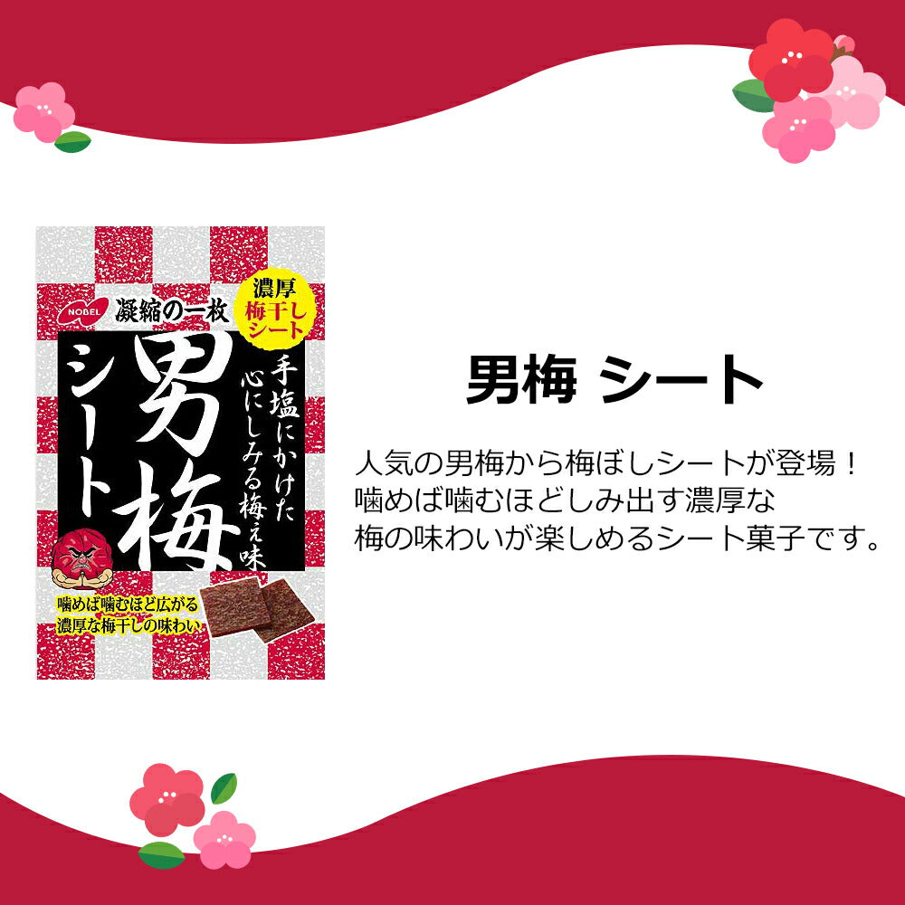 【送料無料】男梅5種+梅ねり1種（ほし梅　梅干し　男梅シート　はちみつほし梅　茎わかめ　梅ねり）計6個セット