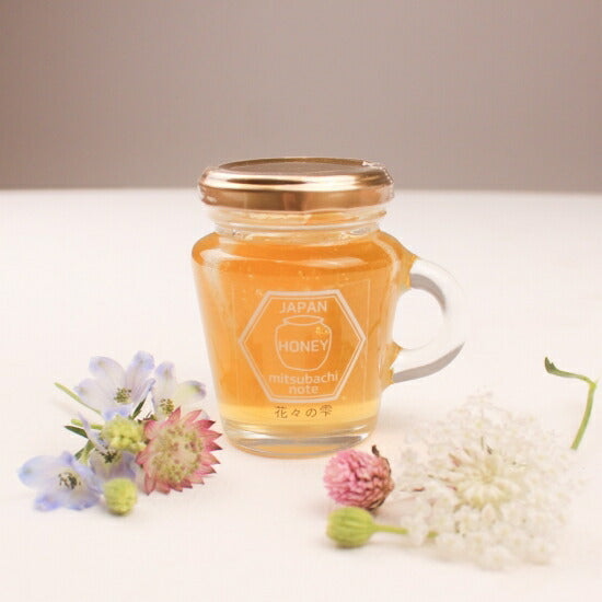 はちみつ 国産 天然ハチミツ 花々の雫 瓶タイプ 600g 非加熱 はちみつ 蜂蜜 ギフト 瓶詰 国産蜂蜜