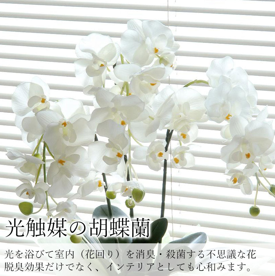 【ピンク】光触媒 胡蝶蘭 ３本立て 胡蝶蘭 造花 フェイクフラワー お手入れ不要 枯れない 三本立て ピンク イエロー ホワイト 55cm お祝い フラワーギフト お供え 脱臭 殺菌 インテリア 陶器製鉢 おしゃれ 幸福