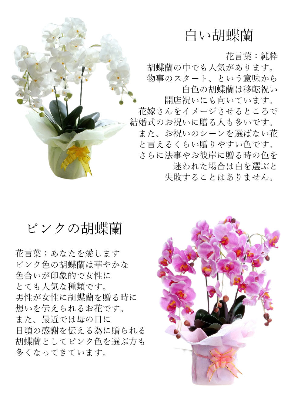 【ピンク】光触媒 胡蝶蘭 ３本立て 胡蝶蘭 造花 フェイクフラワー お手入れ不要 枯れない 三本立て ピンク イエロー ホワイト 55cm お祝い フラワーギフト お供え 脱臭 殺菌 インテリア 陶器製鉢 おしゃれ 幸福