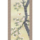 掛軸「桜花に小鳥」　長江桂舟　筆