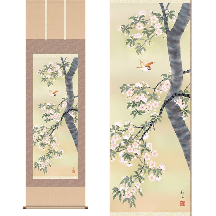 掛軸「桜花に小鳥」　長江桂舟　筆