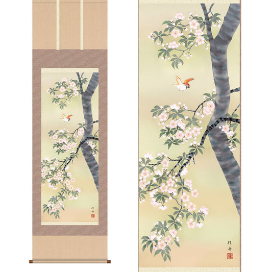 掛軸「桜花に小鳥」　長江桂舟　筆