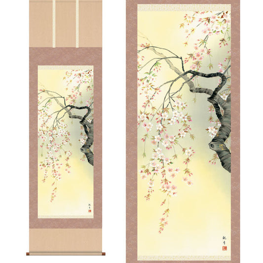 掛軸「桜花爛漫」山村観峰　筆