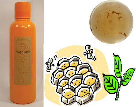 【汚れが見える！マウスウォッシュ】ピエラス プロポリンス ノーマル 600ml 大容量 口臭ケア 清涼感 口臭除去 マウスウォッシュ 液体歯磨き 洗口液 スッキリ エチケット