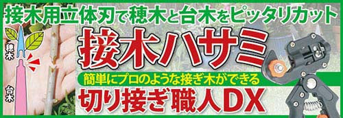 業務用 切り接ぎ職人DX [ 剪定 造園 ガーデニング 家庭向け 立体刀 カット ハサミ 鋏 DIY 家庭用 接ぎ木 剪定ハサミ 手軽 簡単 送料無料 ]