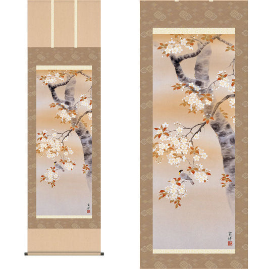 掛軸「桜花に小鳥」近藤玄洋筆 [ 収納箱 31×89 10年保証 桜 陽春 和 季節掛 国内産 十年間表装品質保証付 受注生産 床の間 和風 掛け軸 日本製 名画 縁起物 プレゼント 画寸 送料無料 ]
