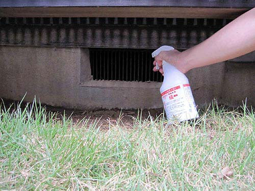 ウルトラ蟻退治500mL [ 蟻 アリ 駆除剤 対策 退治 撃退 効果持続 防除 水周り 換気口 ノンガススプレー 強力噴射 シロアリ 長期間 ]