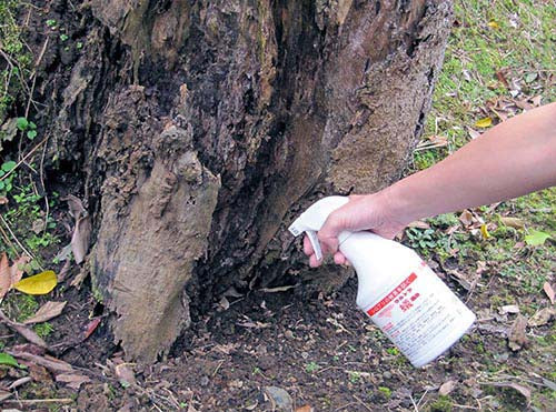 ウルトラ蟻退治500mL [ 蟻 アリ 駆除剤 対策 退治 撃退 効果持続 防除 水周り 換気口 ノンガススプレー 強力噴射 シロアリ 長期間 ]