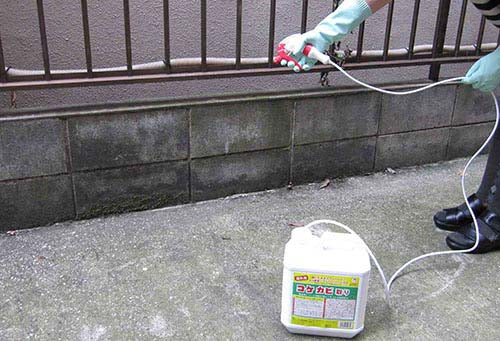 コケカビ取り ４L 玄関 掃除 外壁 ベランダ 門柱 タイル レンガ 踏み石 墓石 コケ カビ 洗浄剤 4L 水洗い不要 効果長持ち スプレーするだけ 墓石 タイル 屋外 カビ防止 除菌剤 日本製 送料無料