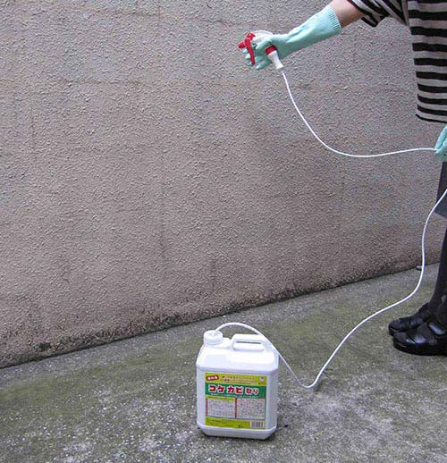 コケカビ取り ４L 玄関 掃除 外壁 ベランダ 門柱 タイル レンガ 踏み石 墓石 コケ カビ 洗浄剤 4L 水洗い不要 効果長持ち スプレーするだけ 墓石 タイル 屋外 カビ防止 除菌剤 日本製 送料無料