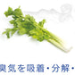 BIOCERA消臭持続 [冷蔵庫 悪臭 脱臭]