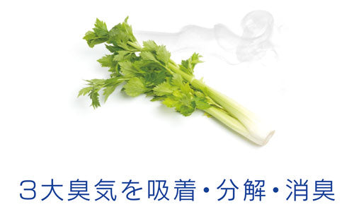 BIOCERA消臭持続 [冷蔵庫 悪臭 脱臭]