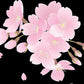 手彫り・桜花ストラップ [ ストラップ 厄除け 厄除 巾着袋付き 携帯 かばん 開運 魔除け 厄払い ローズクォーツ ローズクォーツ スマートフォン スマホ お守り 厄年 グッズ 幸運 贈り物 お守り プレゼント 男性 女性 メンズ レディース ]