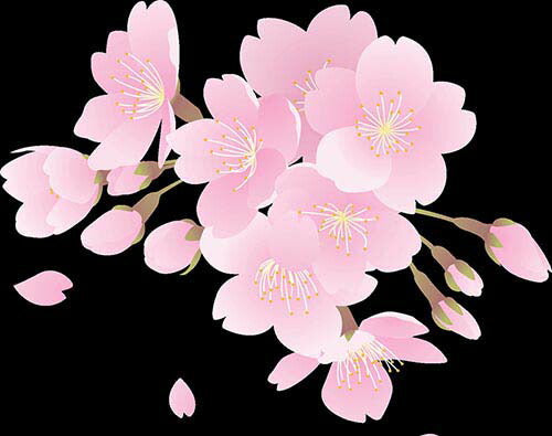 手彫り・桜花ストラップ [ ストラップ 厄除け 厄除 巾着袋付き 携帯 かばん 開運 魔除け 厄払い ローズクォーツ ローズクォーツ スマートフォン スマホ お守り 厄年 グッズ 幸運 贈り物 お守り プレゼント 男性 女性 メンズ レディース ]