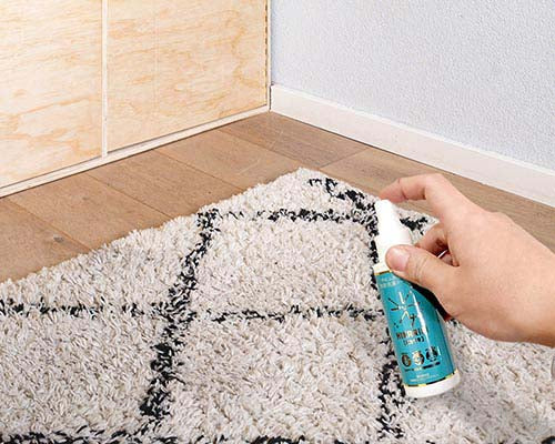 【250ml】光触媒 スプレー HIKARIKI 250mlタイプ 抗菌 抗ウイルス 消臭 防カビ