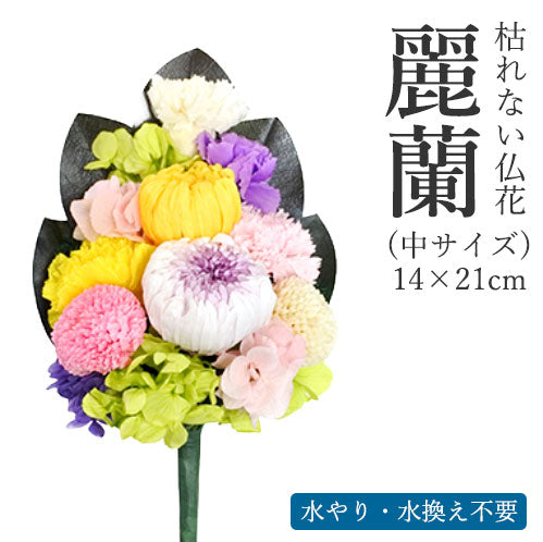 【単品】枯れない仏花　麗蘭（れいらん） 中サイズ　（単品） 仏花 プリザーブドフラワー 枯れない お彼岸 彼岸 喪中 法事 仏壇 仏壇用 一周忌 三回忌 お供え花