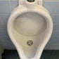 尿石除去剤 業務用 強力 小便器 尿石落とし 尿石取り カビ取り剤 トイレ掃除 尿石 便座裏 洗剤 / 業務用 尿石洗浄剤 輝きが戻る 500ml