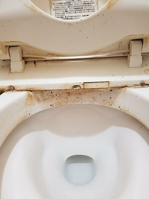 尿石除去剤 業務用 強力 小便器 尿石落とし 尿石取り カビ取り剤 トイレ掃除 尿石 便座裏 洗剤 / 業務用 尿石洗浄剤 輝きが戻る 500ml