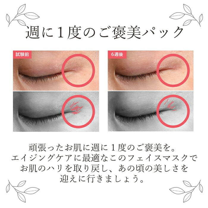 フェイスパック 個包装 プロテオグリカン エイジングケア 化粧品 60代 50代 40代 レジュセルPGフェイシャルマスク
