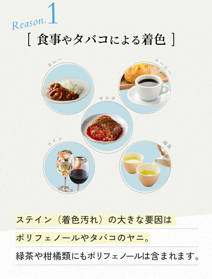ホワイトニング 自宅 歯を白くする 液体歯磨き 薬用 パールホワイト プロ EXプラス
