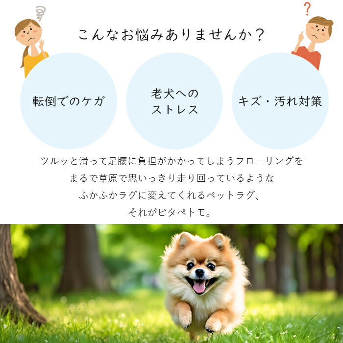 【ベージュ無地】ピタペトモ 45×45cm 2枚セット ペット マット カーペット 滑らない 日本製