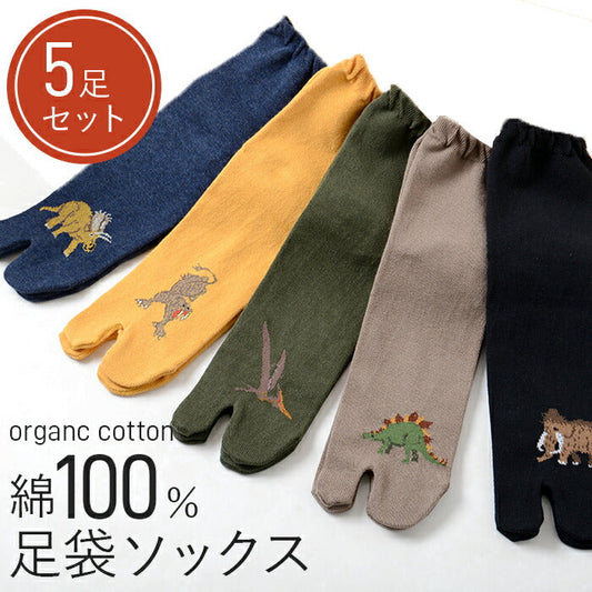 足袋ソックス 足袋靴下 5足組 しめつけない靴下 紳士 メンズ 男性 柄おまかせ まとめ買い 歩きやすい 厚手 大人 25~27cm 恐竜柄