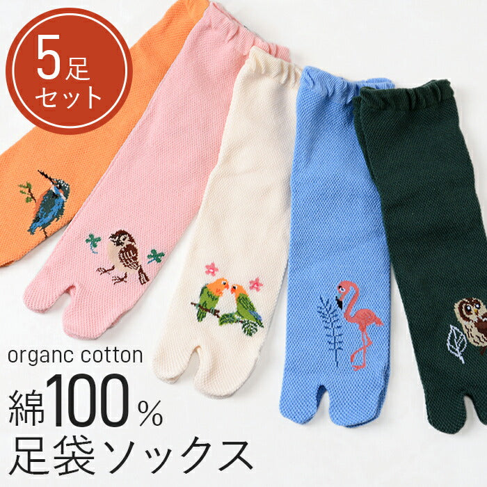 5足セット 足袋ソックス 足袋靴下 レディース メッシュ 薄手 靴下 セット まとめ買い 春夏 フリーサイズ ゆったり 日本製 / 野鳥柄・色おまかせ足袋ソックス