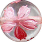 天然石 パワーストーン ブレスレット ローズクォーツ 水晶 レディース 女性 ギフト プレゼント 母の日 敬老の日 誕生日 幸せの桜ブレスレット