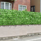 【花有タイプ】グリーンフェンス 1m×3m 目隠し 日除け おしゃれ 花付き 花無し 葉っぱ ベランダ 庭 防犯 侵入防止 / 目隠しグリーンフェンス