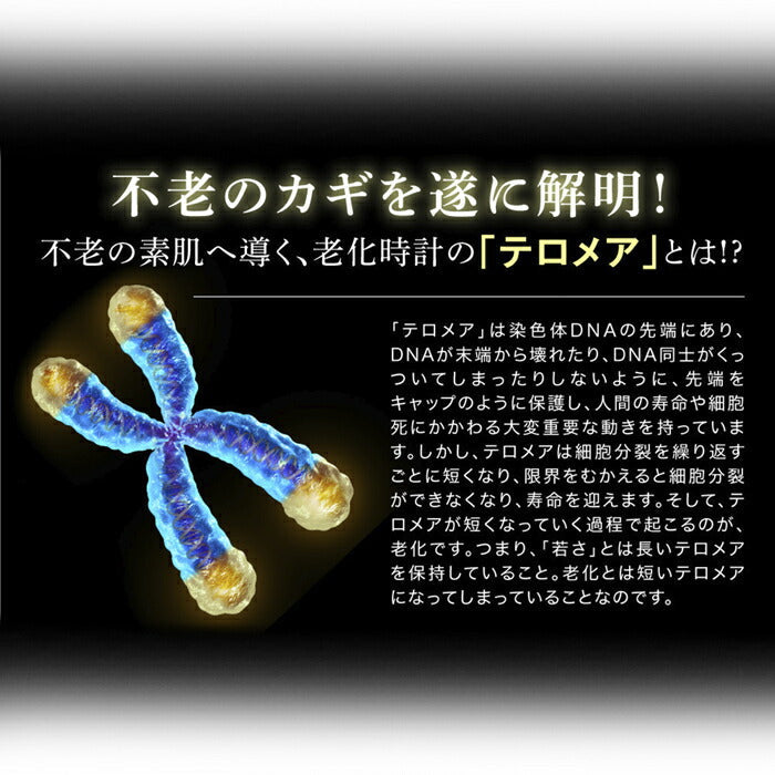 皮膚科医監修 ヒト幹細胞 美容液 エイジングケア 化粧品 40代 50代 60代 スキンケア シミ シワ 対策 目元 年齢肌 / 皮膚科医監修美容液 グラセル 30ml