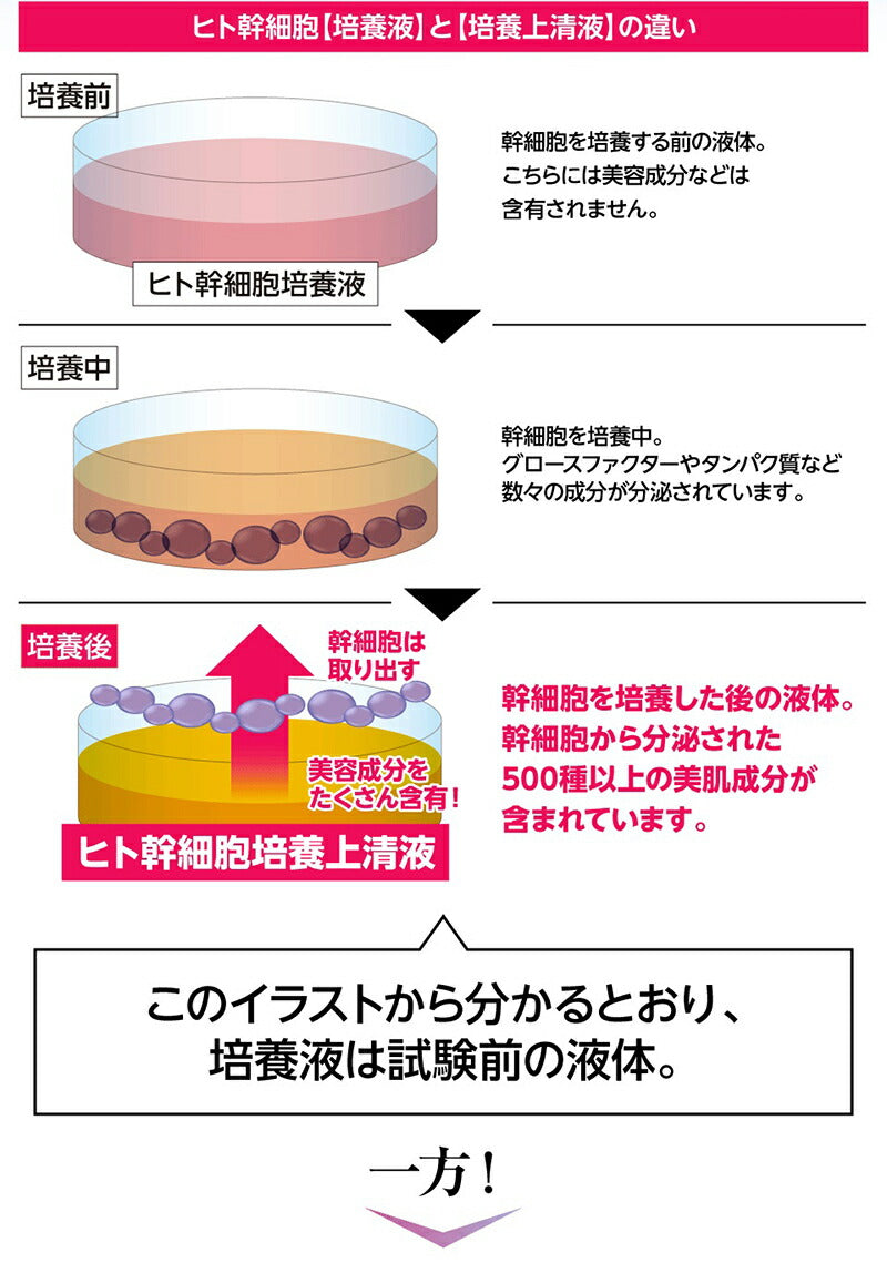 ヒト幹細胞 美容液 培養液 エイジングケア 化粧品 40代 50代 60代 EGF配合 スキンケア シミ シワ / ニューエイジ美容液 セリスタ 30ml