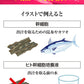 ヒト幹細胞 美容液 培養液 エイジングケア 化粧品 40代 50代 60代 EGF配合 スキンケア シミ シワ / ニューエイジ美容液 セリスタ 30ml
