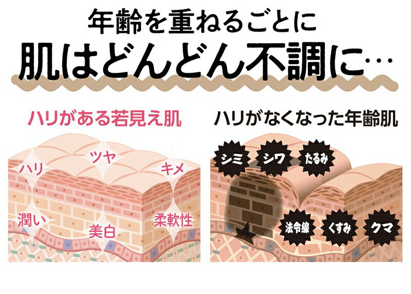 ヒト幹細胞 美容液 培養液 エイジングケア 化粧品 40代 50代 60代 EGF配合 スキンケア シミ シワ / ニューエイジ美容液 セリスタ 30ml