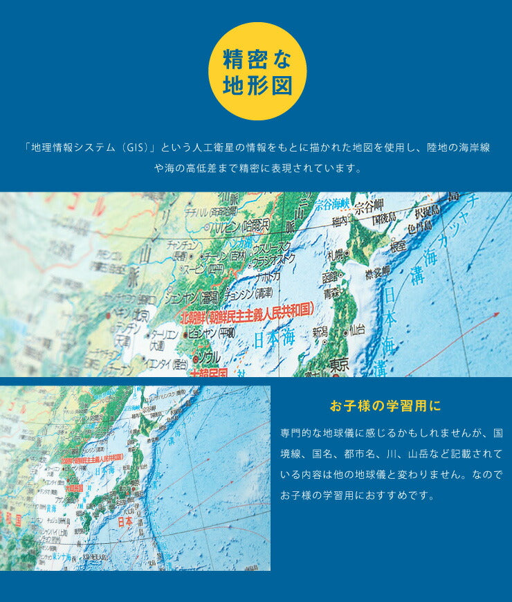 地球儀 レイメイ藤井 全回転フレーム 球径30cm 土地被覆タイプ 地球儀スケール 時差表示 低反射 学習 自由研究 子供用 グローブ インテリア 卓上 プレゼント ギフト 入学祝い 知育 玩具 トイ OYV260 【送料無料】