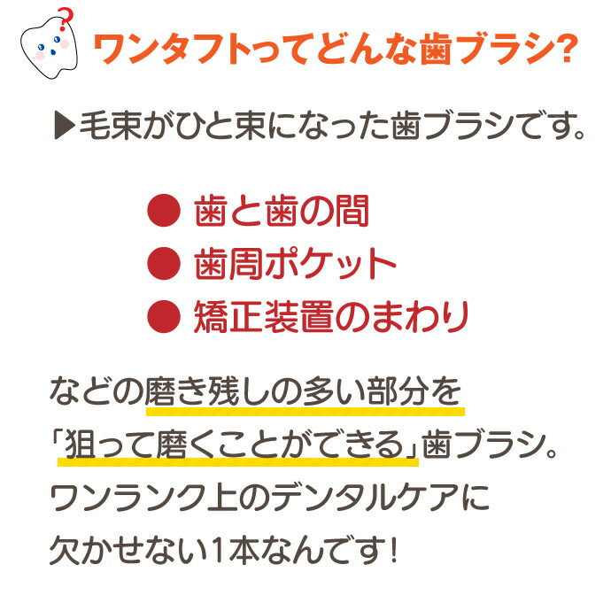 【3人シェア買いでお得】CiPRO ワンタフトブラシ レギュラーヘッド Sやわらかめ 10本セット