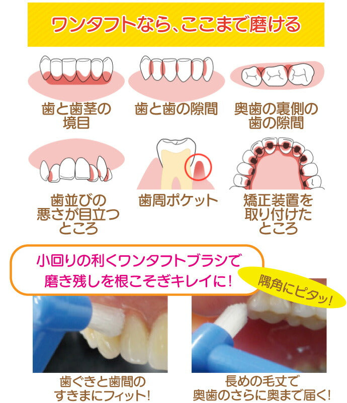 【3人シェア買いでお得】CiPRO ワンタフトブラシ ラージヘッド Mふつう 10本セット