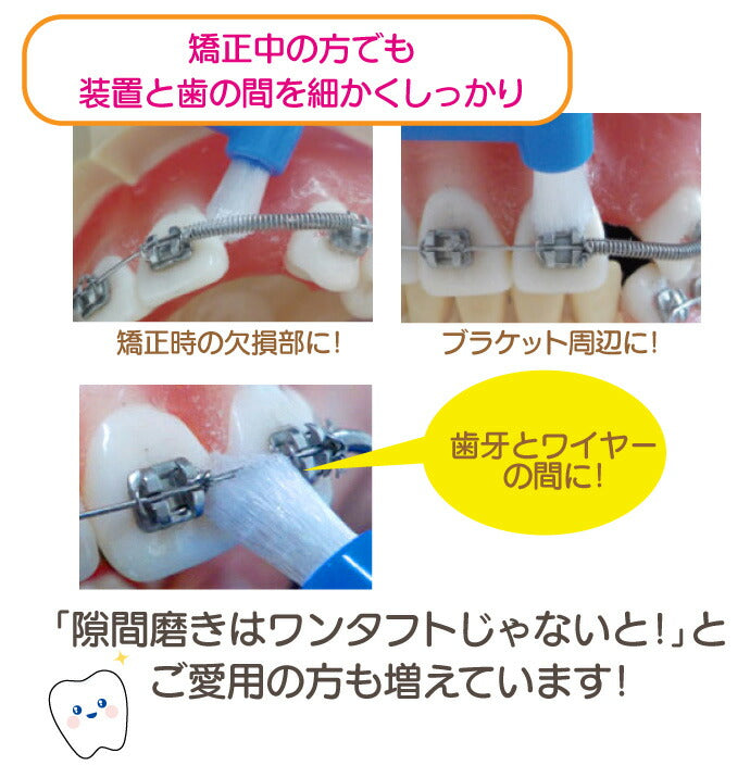 【3人シェア買いでお得】CiPRO ワンタフトブラシ レギュラーヘッド Sやわらかめ 10本セット