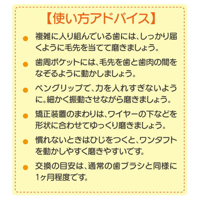 【3人シェア買いでお得】CiPRO ワンタフトブラシ レギュラーヘッド Sやわらかめ 10本セット
