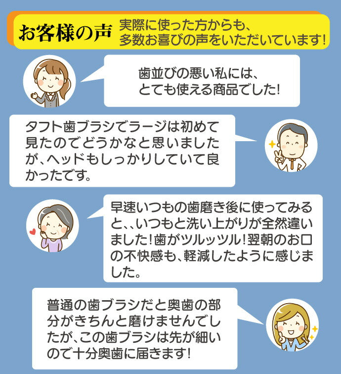 【3人シェア買いでお得】CiPRO ワンタフトブラシ ラージヘッド Mふつう 10本セット