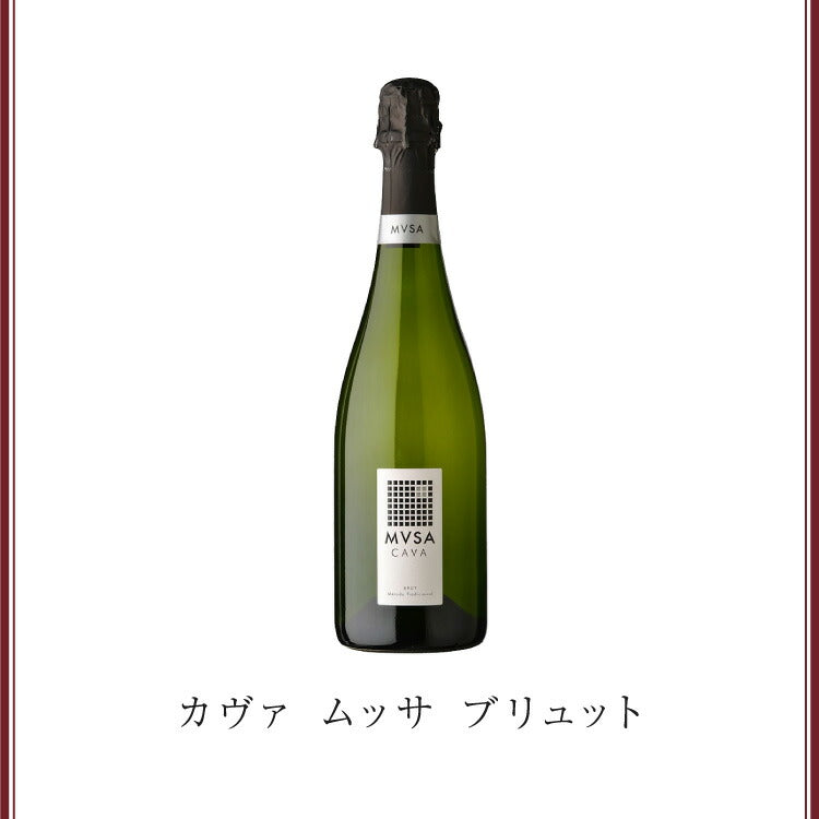 カヴァ ムッサ ブリュット ワイン Wine スパークリング スパークリングワイン スペインワイン カバ Cava 辛口 お酒 酒 1本 750ml お試し 飲みやすい 入門 デイリー カジュアル 定番