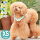 (ブルー)SUO アイスクールリング ボタン付 XS ペット用 散歩 反射 犬用 ネックリング ネック用 アイス クール リング 熱中症予防 暑さ対策 室内犬 小型犬 ペット 犬 SUO 28°ICE COOL RING(代引不可)【メール便配送】【送料無料】