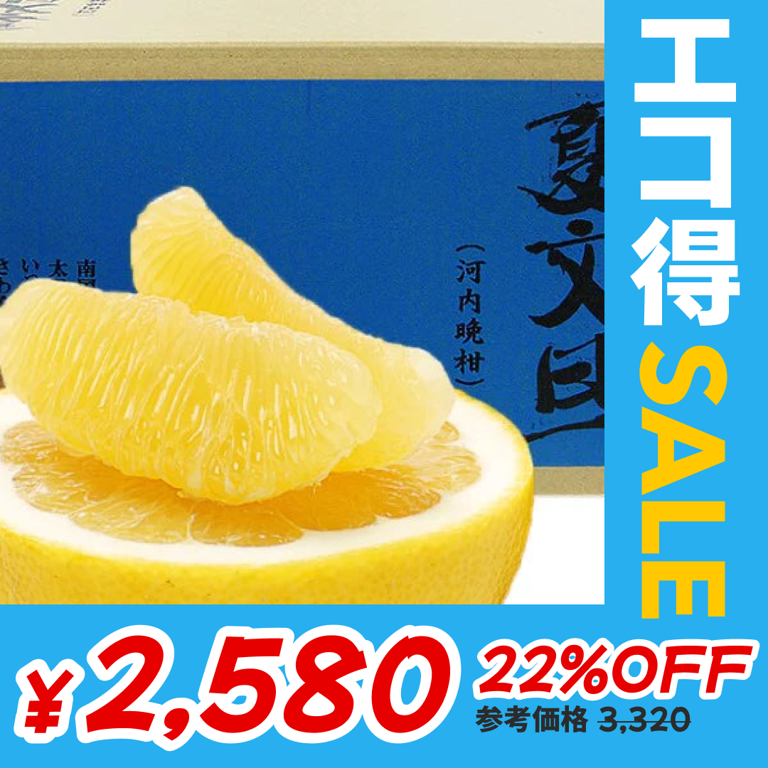 愛媛県産　訳アリ河内晩柑10kg【エコ得SALE】